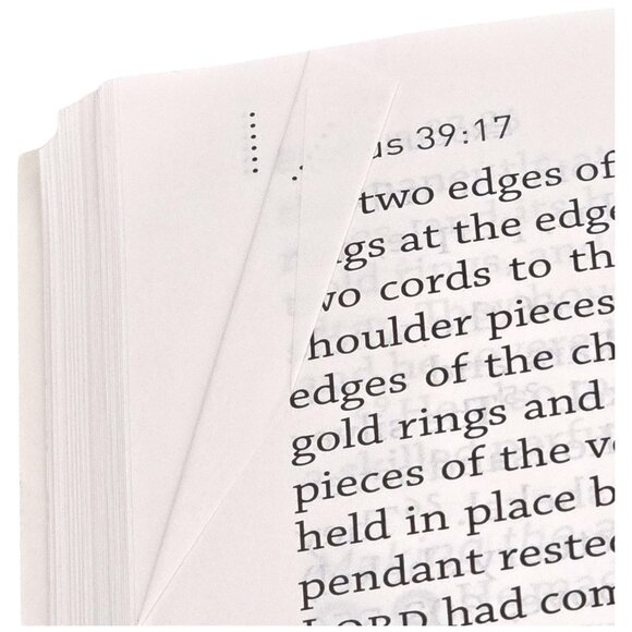 The Daily Life Bible LARGE PRINT EDITION Easy To Read Common English Bible - Picture 15 of 16